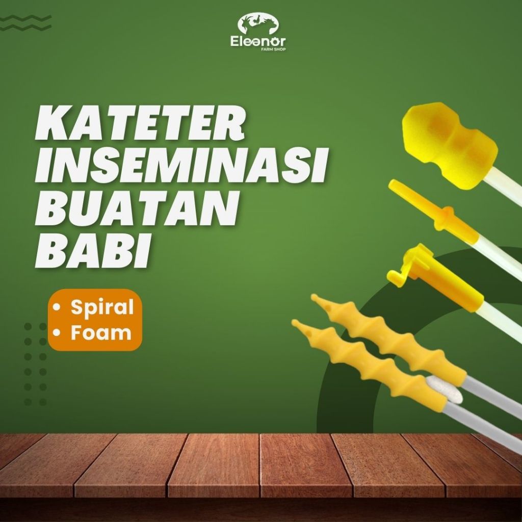 Catheter Kateter Inseminasi Buatan Babi Spiral Foam - Catheter pig