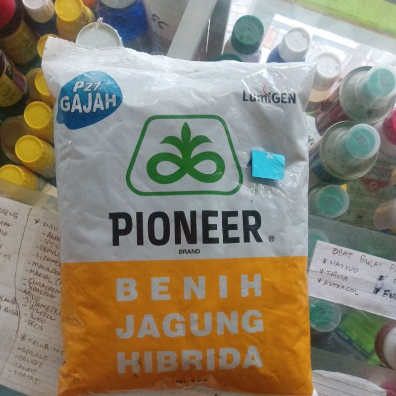 Pioneer p27 gajah lumigent