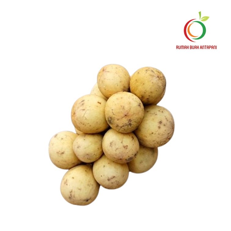 Buah Duku Palembang Super / Buah Langsat Manis & Fresh 500 gram