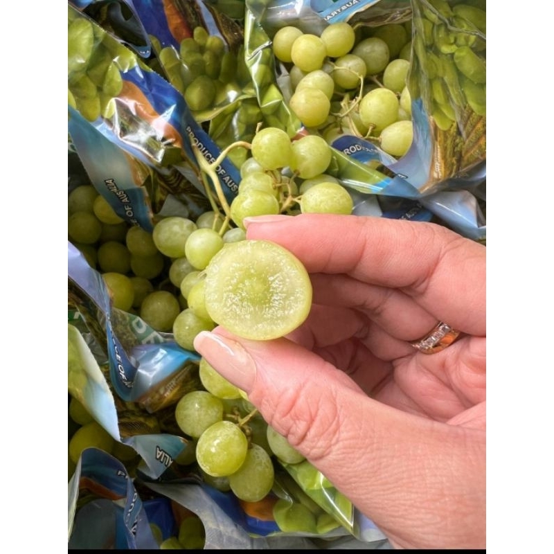 

buah anggur hijau seedles ivory 1 dus isi 9 kg/ buah anggur ivory seedles 1 dus isi 9 kg