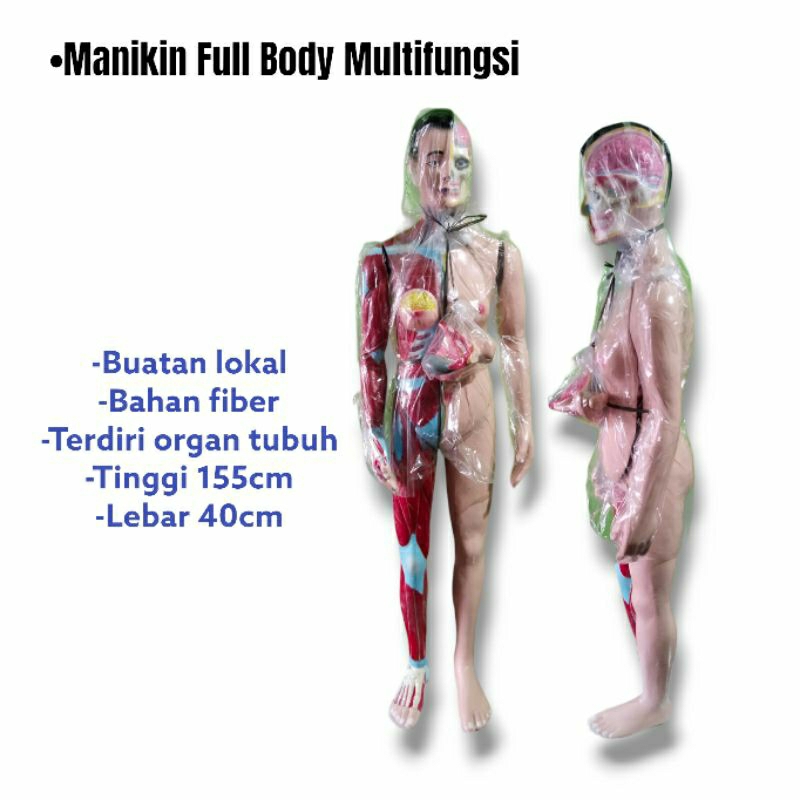 Phantom Manikin Full Body multifungsi/ Manikin seluruh tubuh