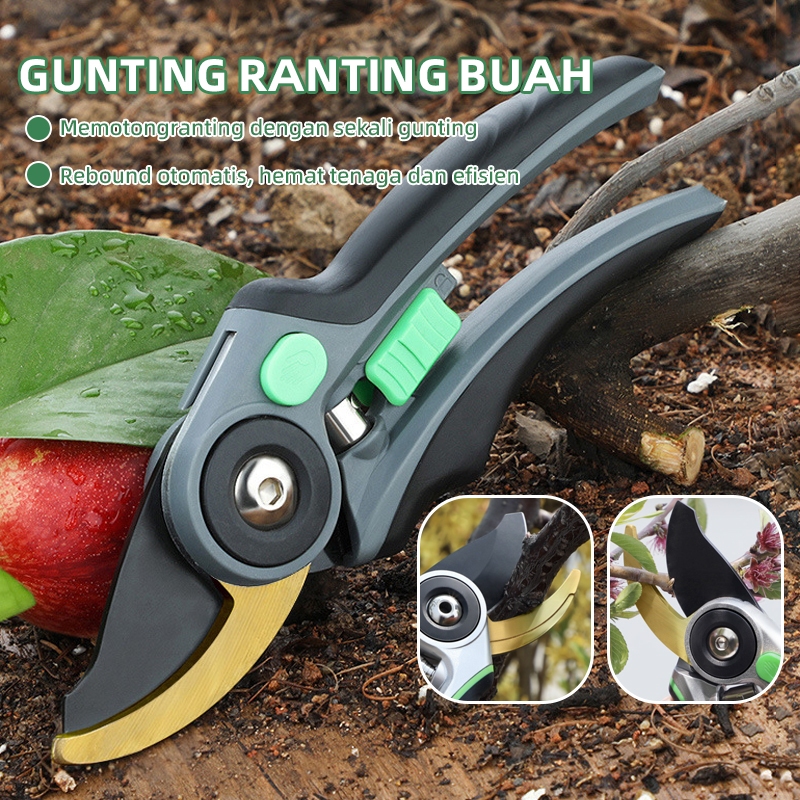 Airaj Baja SK5 Gunting Tanaman Murah Peralatan Berkebun Taman Ranting Garden Pohon Dahan