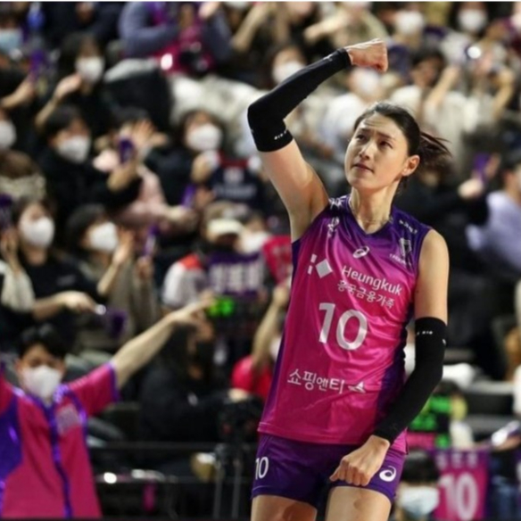 Jersey Olahraga Volly Voli Pink Spider cewek Free Nick Name terbaru 2024