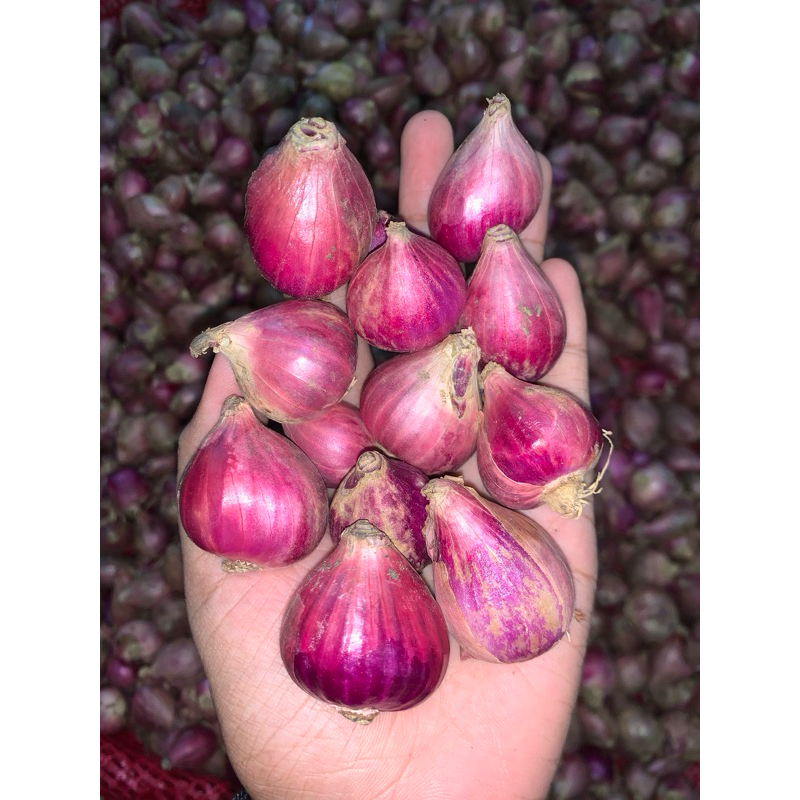 

Bawang merah 1kg