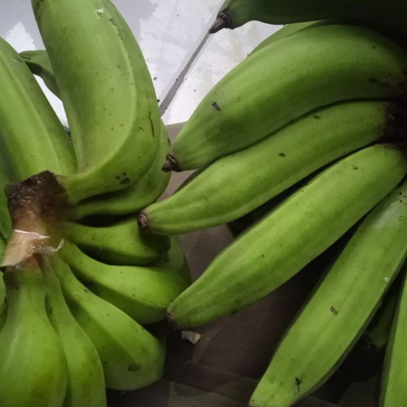 

PISANG NANGKA SUPER PULEN BAHAN KERIPIK ATAU BUBUR MANIS (KOLEK) BAHAN GORENG PISANG