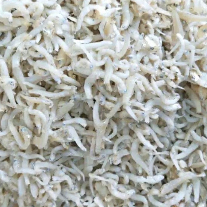 

KI3 Ikan Teri Medan 1gr