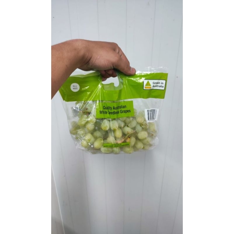 

Anggur Thompson Australia Sedleess 9 Kg / Box