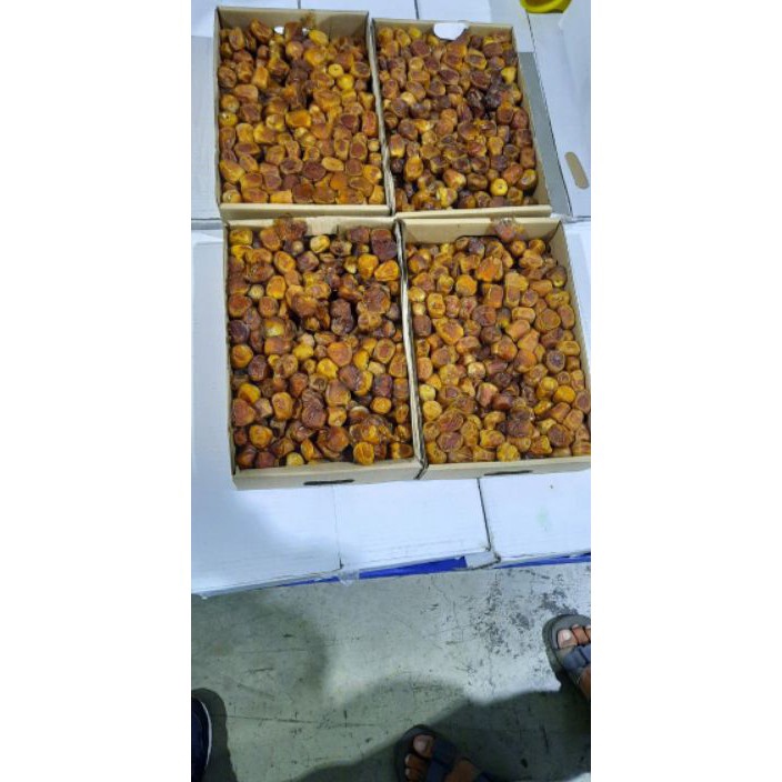 

KI3 Kurma Sukari 3 Kg Kurma Basah Lembut Manis Oleh Oleh Haji dan Umroh exp225