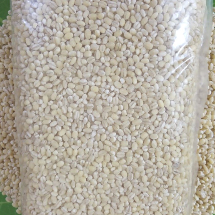 

KP8 Jali Jali Pearl Barley Import Holland Kemasan Netto 1 Kg