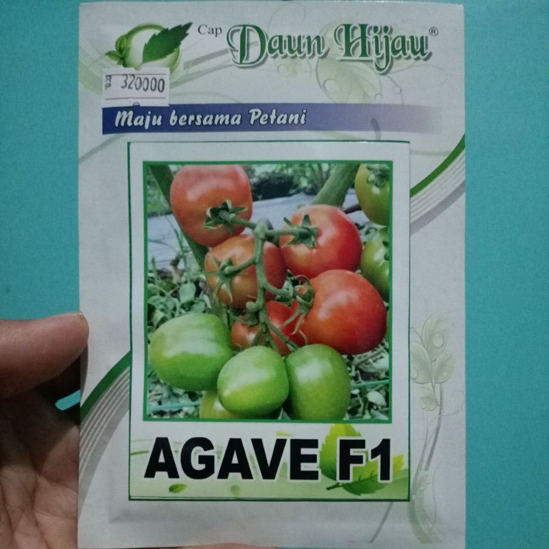 Tomat Agave F1