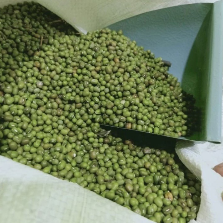

HJ6 kacang ijo Australia kacang ijo lokal bubur 1 kg kualitas super