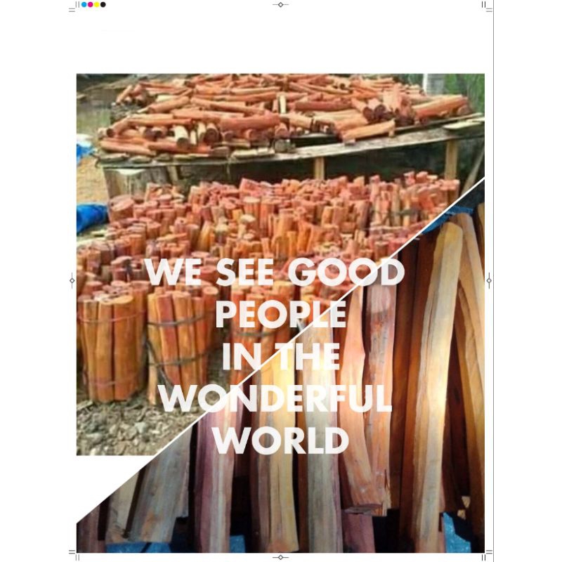

kayu secang 20-30cm fress promo termurah