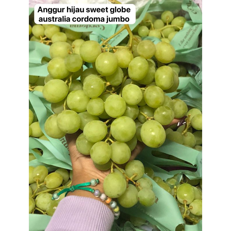 

Anggur hijau sweet globe australia cordoma Jumbo /kg