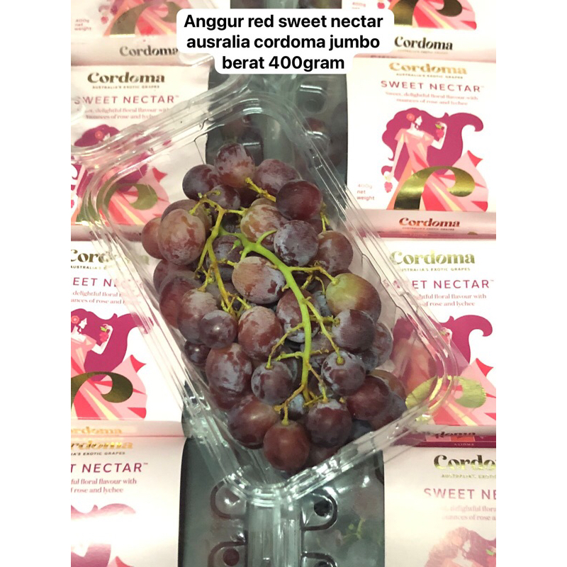 

Anggur Red Sweet Nectar Australia Cordoma Jumbo Berat 400 gram /pack