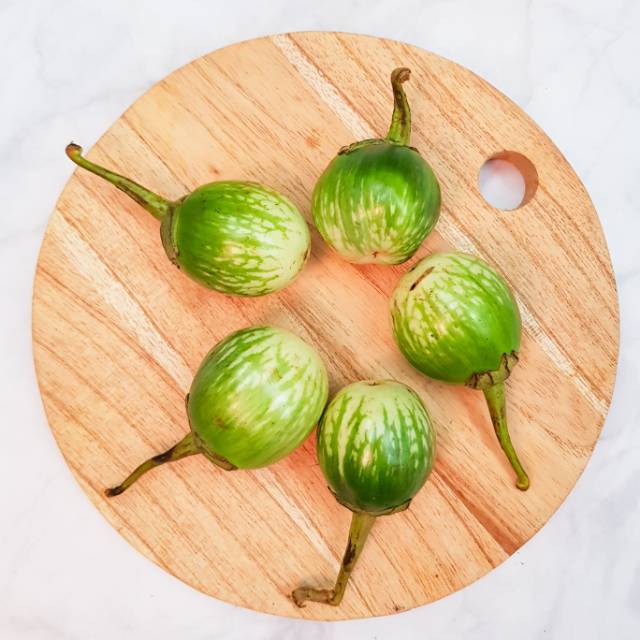 

Kirim Cepat TERONG HIJAU BULAT/LALAP 250gr