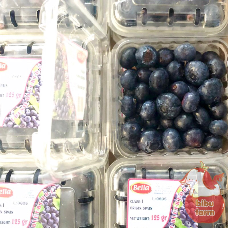 

Blueberry Bella Berat 125 Gram/Pack