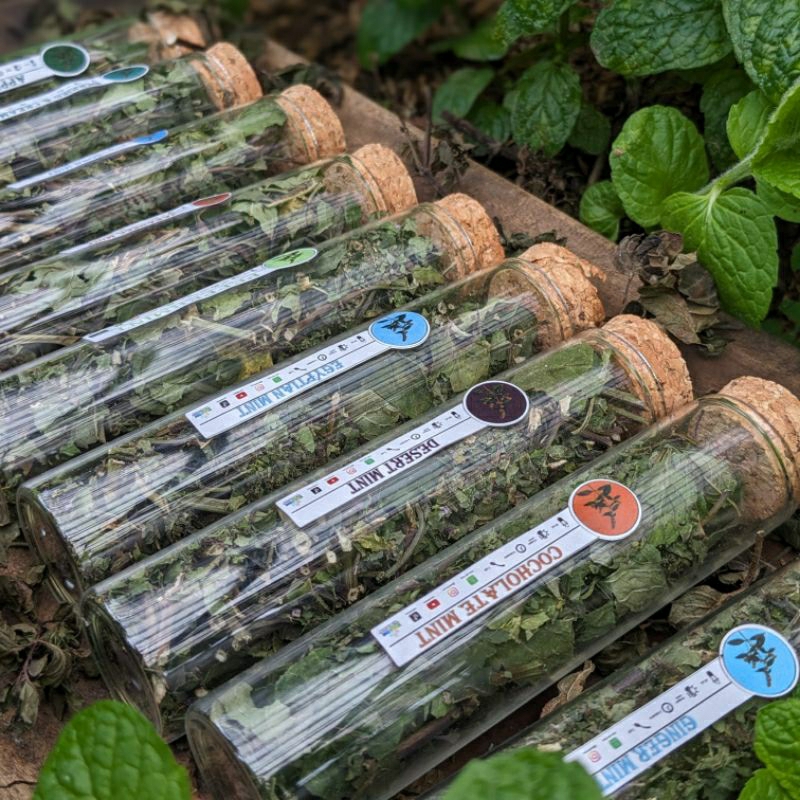 

PREMIUM DRIED MINT LEAVES IN BOTTLE / MINT KERING 60ml