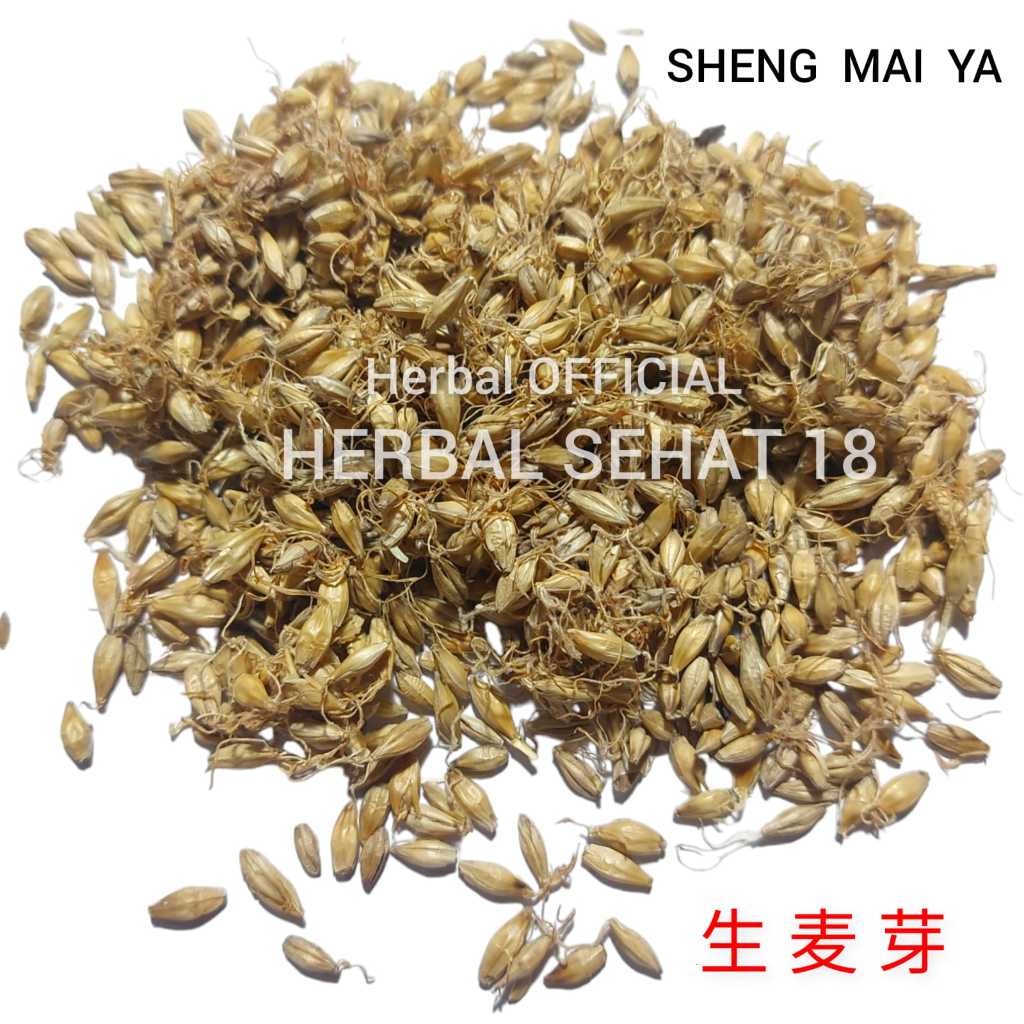 

Sheng Mai Ya 250-500-600-1000 gram Mai Ya Bing ShengMaiya Barley Sprout Sprouts Malt