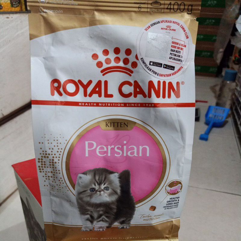 royal canin persian kitten 400g