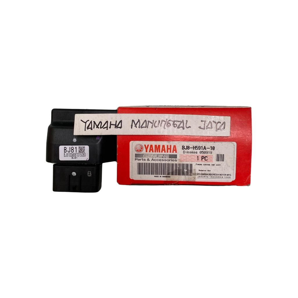 ENGINE CONTROL UNIT ( ECU ) FINO 125