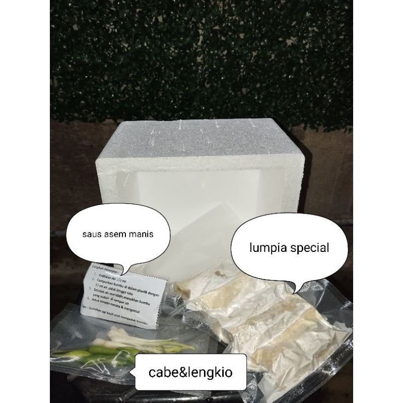 

lumpia lunpia special isi 10 vacum pengiriman SELURUH INDONESIA