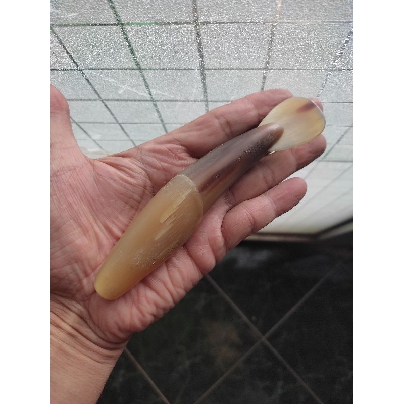Alat kerokan totok dan urut dari tanduk tulang sapi per 1 pcs