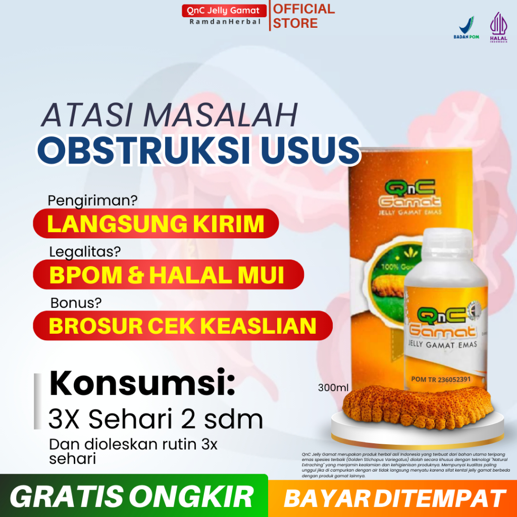 Obat Obstruksi Usus Penyumbatan Di Usus Halus Usus Besar Masalah Saluran Pencernaan Gangguan Pencern
