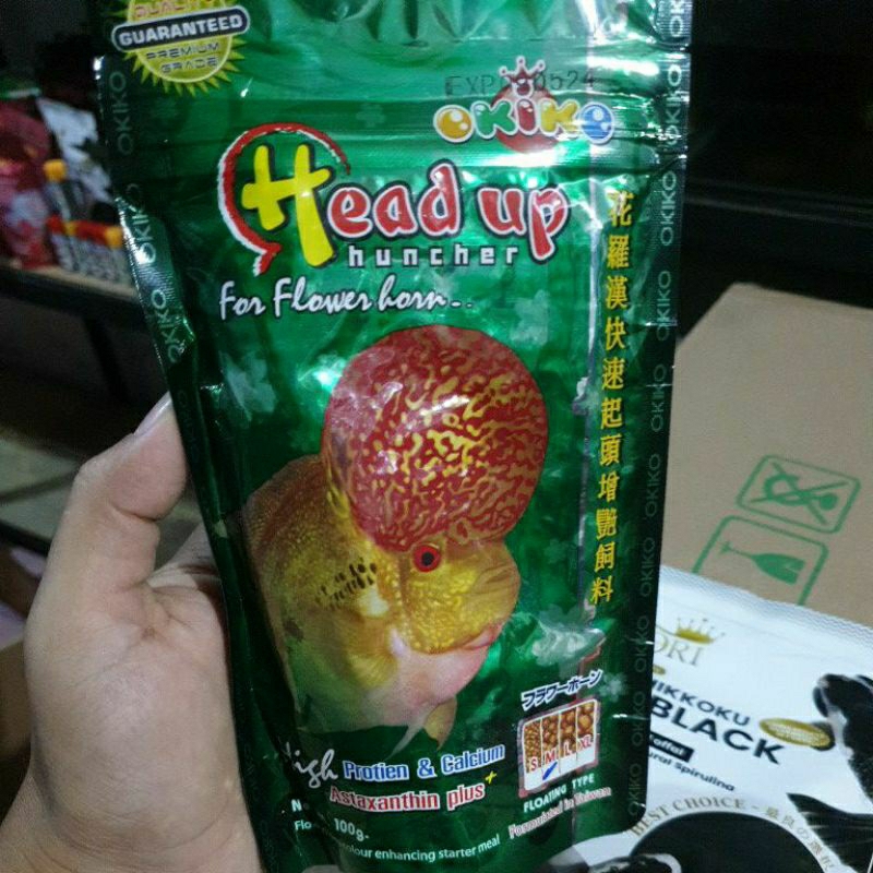 

Okiko hijau Head up exp bulan mei dan juni |MAKANAN IKAN LOUHAN|100%ORI