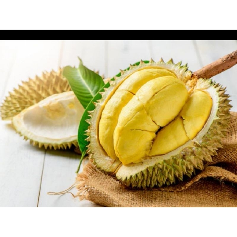 

Durian super win