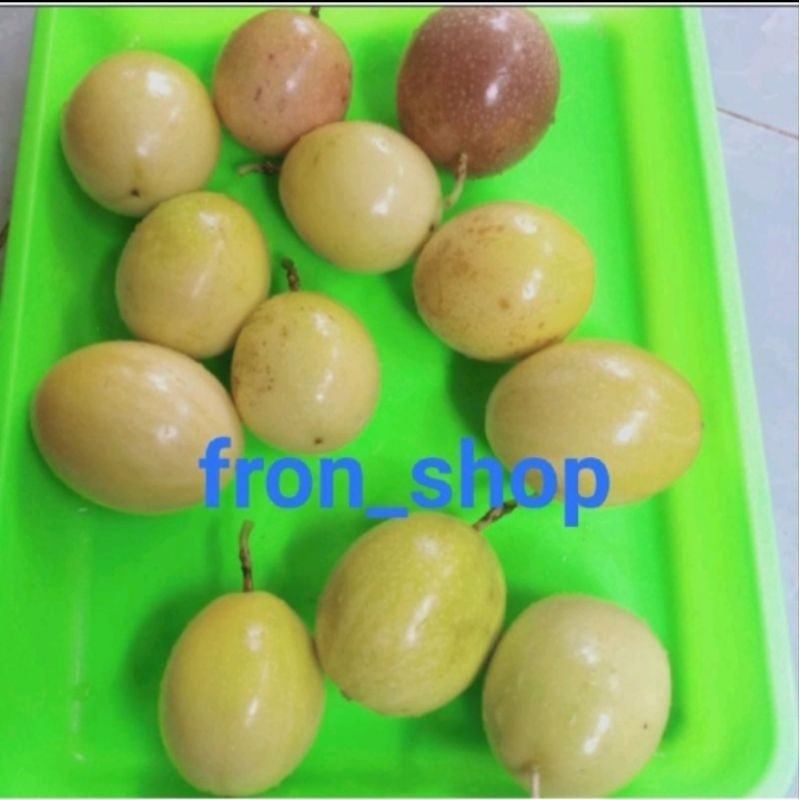 

Promo 1Kg Buah Markisa Kuning Segar