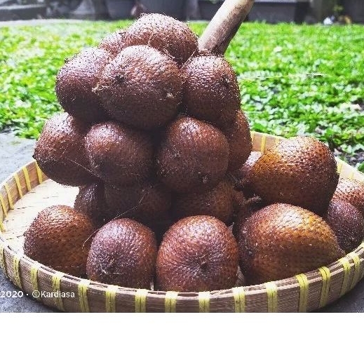 

SALAK BALI RASA ASEM MANIS KEMASAN 2 KILO