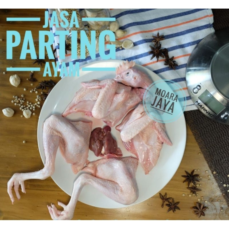 

Korzaln Ayam Pejantan