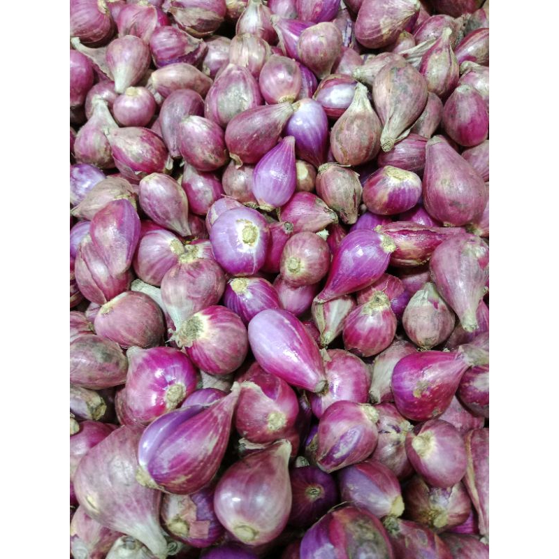 

bawang merah brebes 1kg