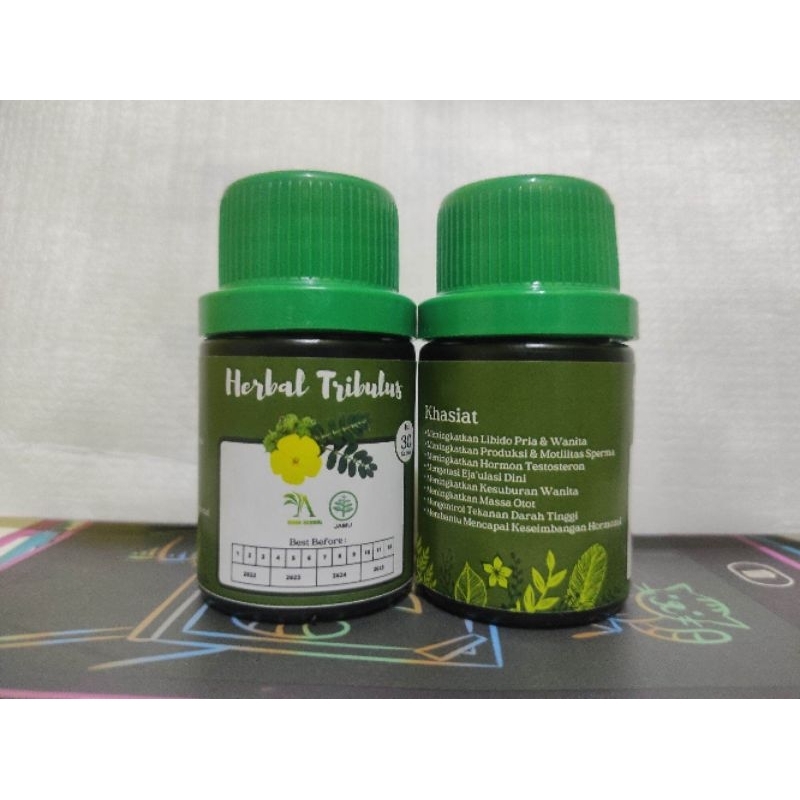 Tribulus Herbal Hormon Testosteron