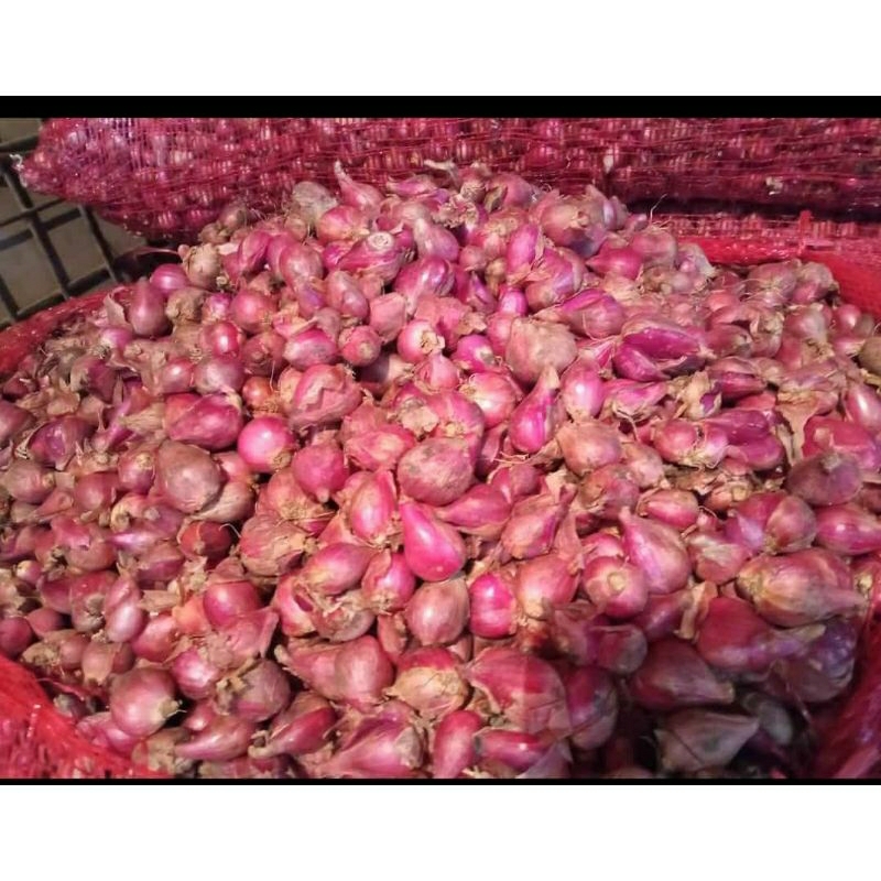 

Ready *Bawang Merah* 1 kg