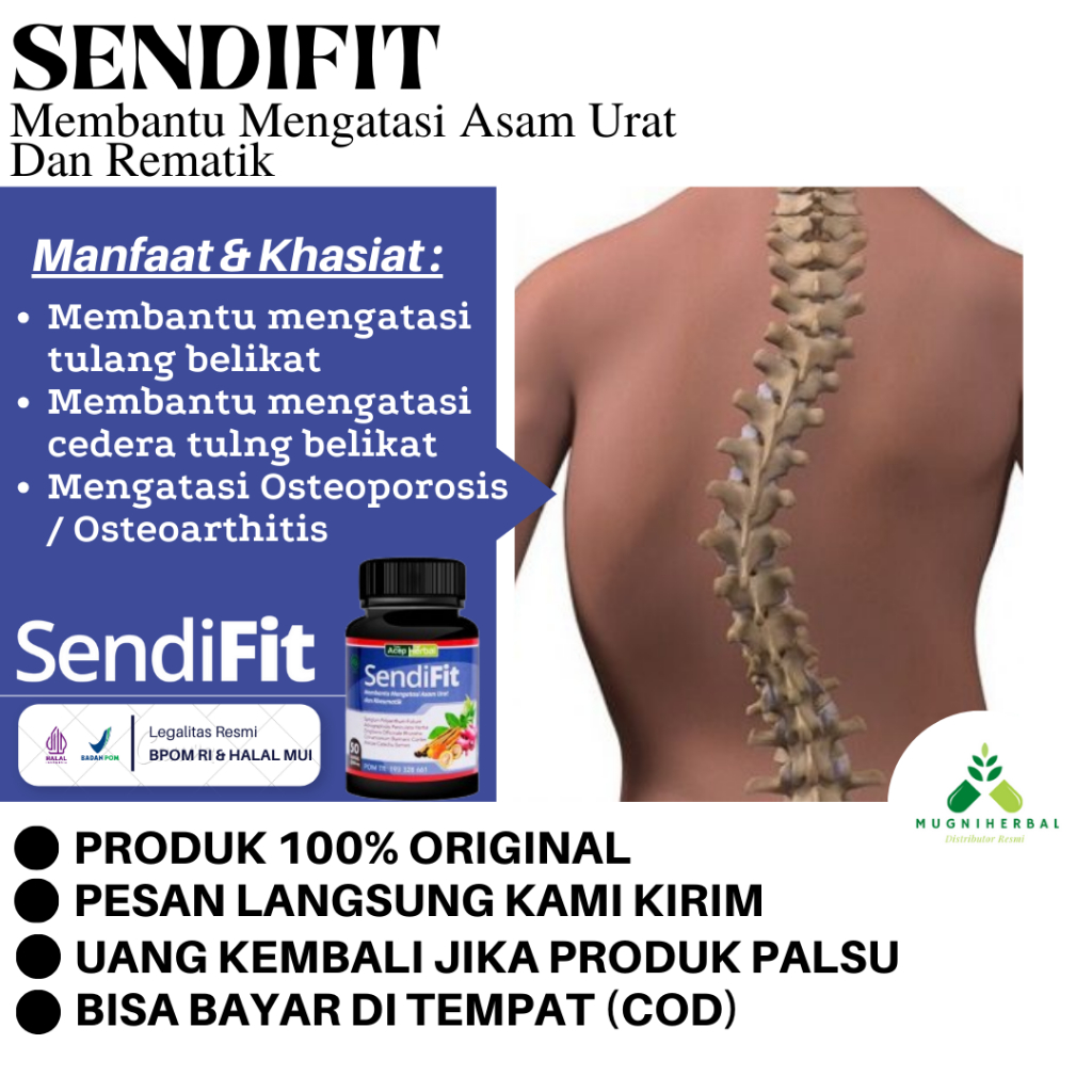 Obat Skoliosis, Tulang Bengkok, Gangguan Tulang Belakang, Cedera Tulang Belakang, Tulang Belakang Me