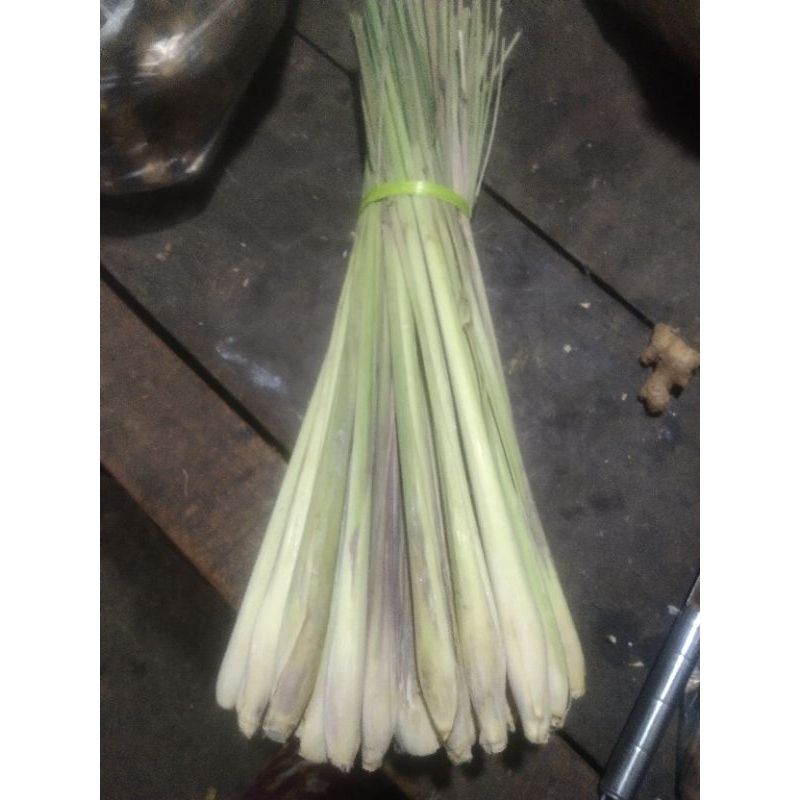 

sereh segar kwalitas super (-/+1 kg).