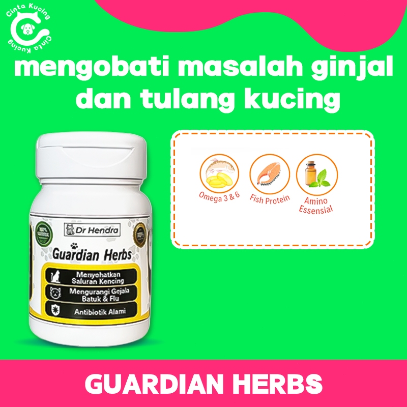 1Kapsul Vitamin Kucing Anti Biotik Alami Kucing Vitamin Tulang Kucing Guardian Herbs Obat Ginjal Kuc