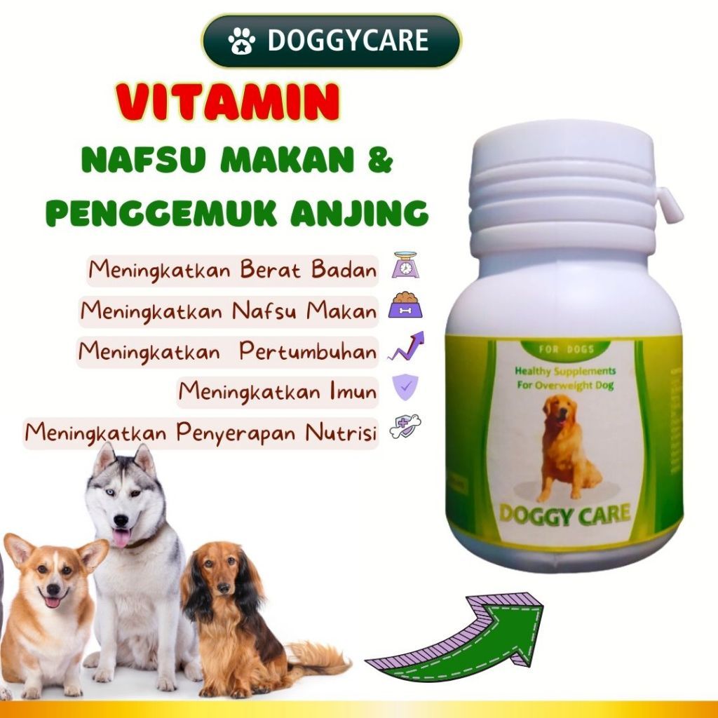 Vitamin Gemuk Anjing Vitamin Penggemuk Anjing Vitamin Nafsu Makan Anjing Anti Body Multivitamin