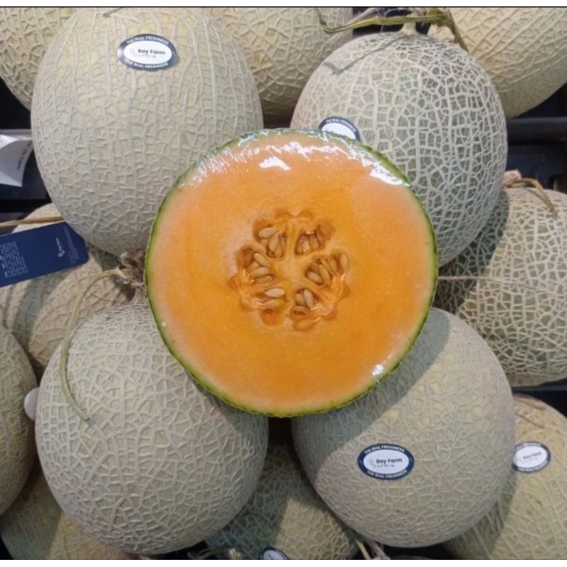 

Melon Orange Japanes -+ 1,5 Kg