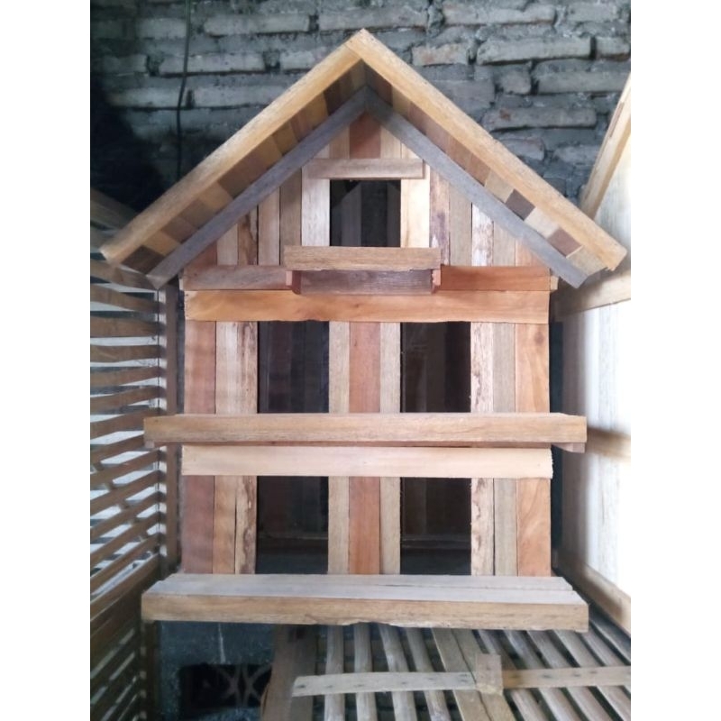 Bekupon / Burung Dara Kamar 5 KHUSUS PENGIRIMAN EKSPEDISI