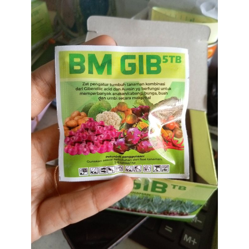 zat pengatur tumbuh tanaman BM Gibb