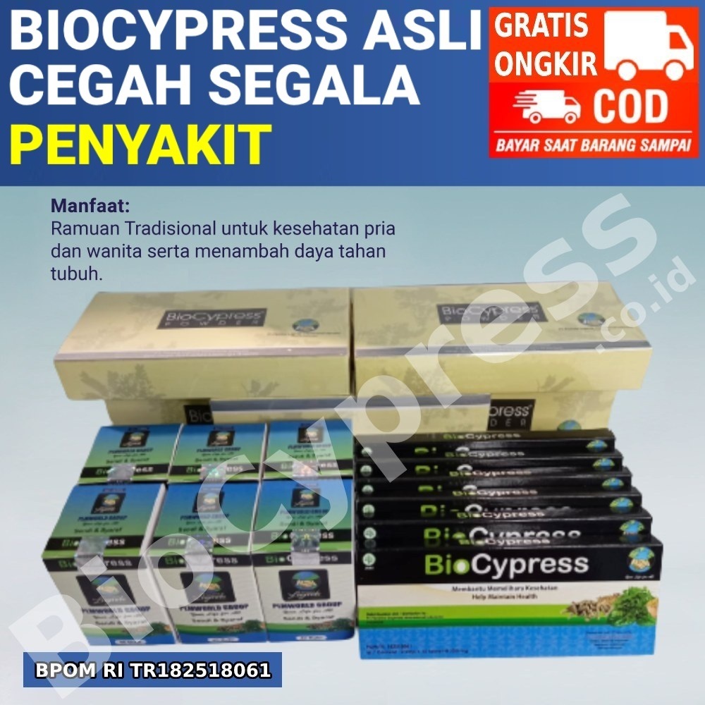 Biocypress Original Obat Herbal Kaya Manfaat Bio Cypress Solusi Obat Herbal Sendi Saraf, Stroke, Asa
