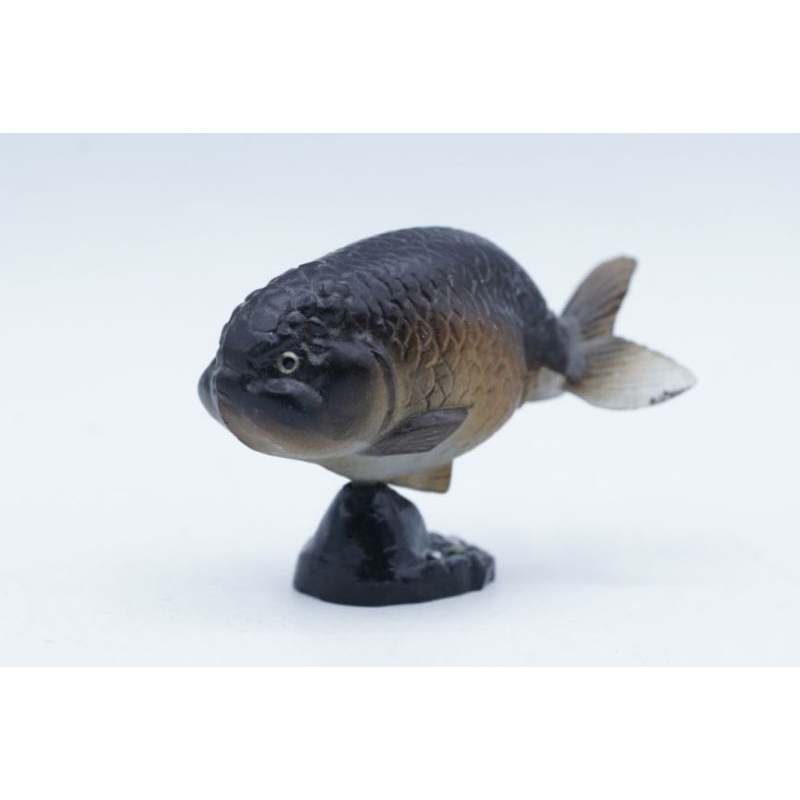 Figure Black Ranchu Ikan Mas Koki Fish Pajangan Animal Binatang Koleksi Toy Toys Collection Mainan