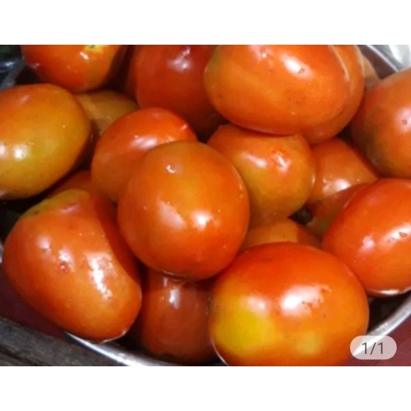 

Tomat buah merah fresh 500gram