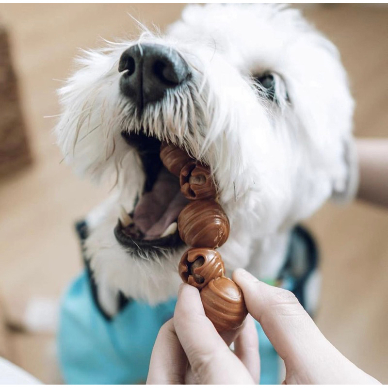 Magic Ball Interactive Nutritious Dental Chews for Dog Snack