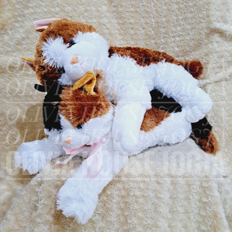 Boneka Kucing Esmeralda Jumbo Bulu Rasfur Boneka Kucing Tiduran Jumbo Boneka Lying Esmeralda Cat Jum