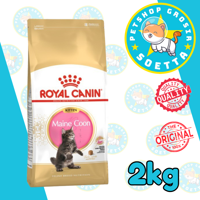 Royal Canin Maine Coon Kitten 2kg