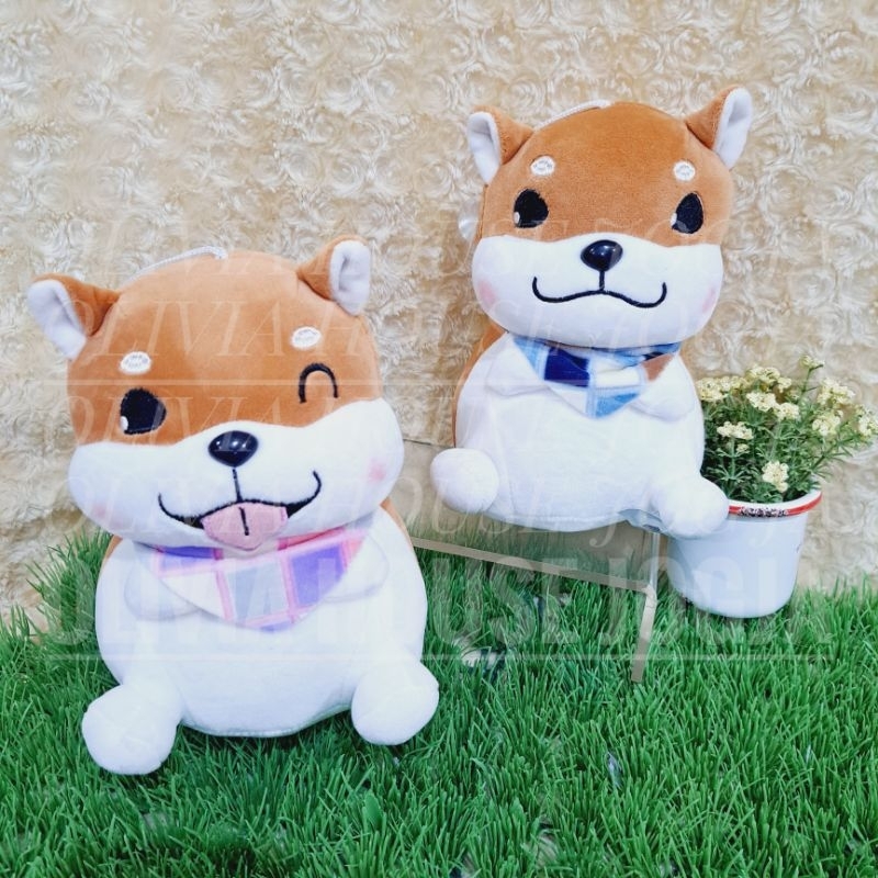 Boneka Shiba Inu Chubbh Syal kop Boneka Anjing  Shiba Inu Coklat Soft Bonek Sit Shiba Inu Dog Chubby