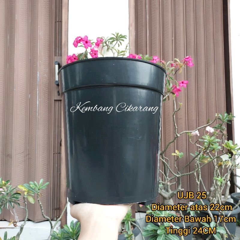 (1pc) POT UJB 25 (22CM) : pot bunga tabung tinggi polos murah bagus